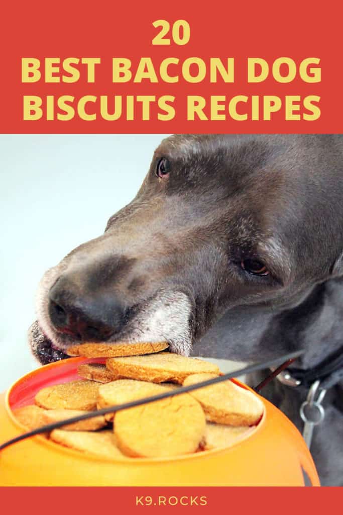 the dogs love the taste of bacon that many dog owners put in the treats for the dogs. We have gathered all the best recipes for the dog with taste of bacon