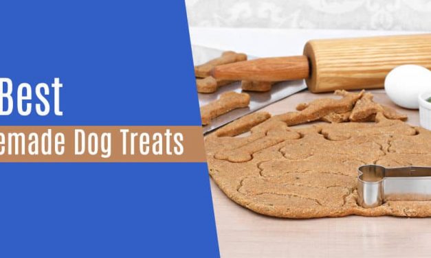 32 Homemade Dog Treats