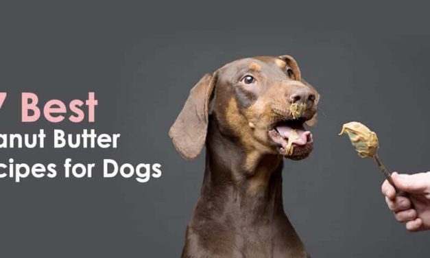 37 Best Peanut Butter Recipes for Dogs