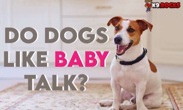 Do Dogs Like Baby Talk?