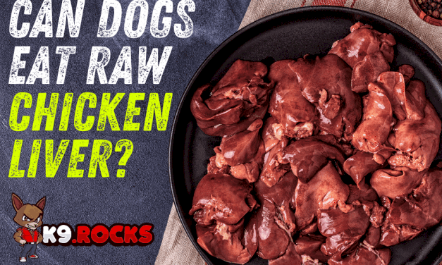 Can Dogs Eat Raw Chicken Liver?