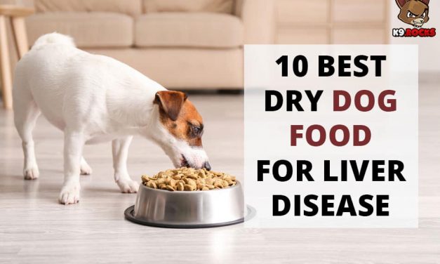 10 Best Dry Dog Food for Liver Disease
