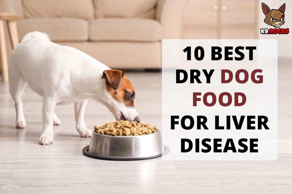 10 Best Dry Dog Food for Liver Disease K9 Rocks