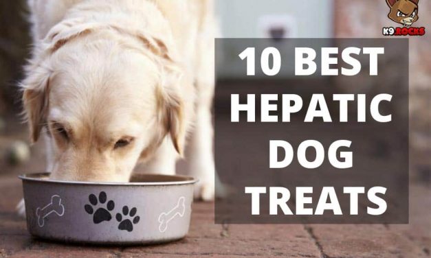 10 Best Hepatic Dog Treats