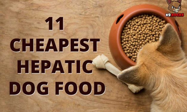 11 Cheapest Hepatic Dog Food