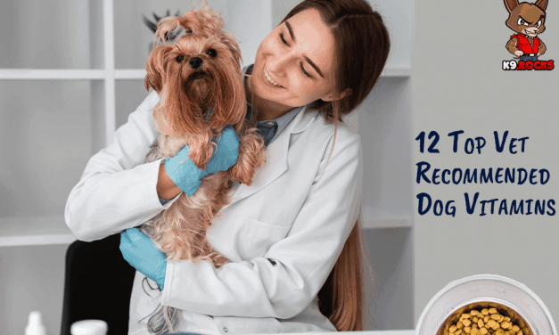 12 Top Vet Recommended Dog Vitamins