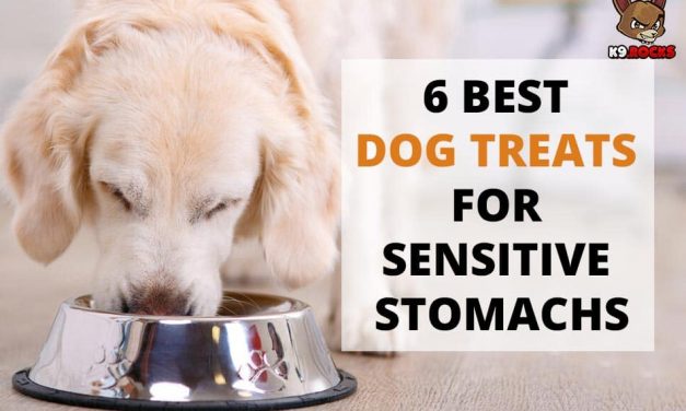 6 Best Dog Treats for Sensitive Stomachs