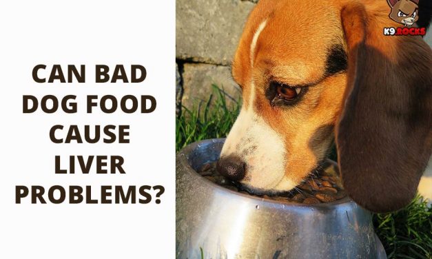 Can Bad Dog Food Cause Liver Problems?