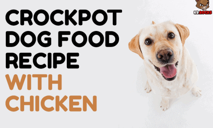 Crockpot Dog Food Recipe with Chicken