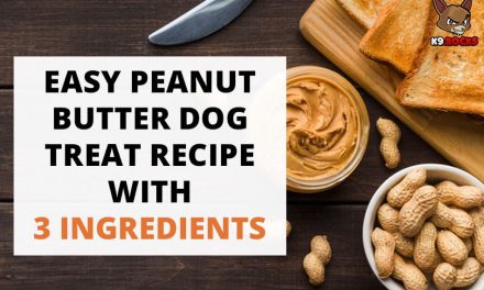 Easy Peanut Butter Dog Treat Recipe with 3 Ingredients