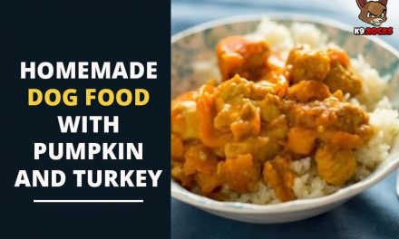 Homemade Dog Food with Pumpkin and Turkey