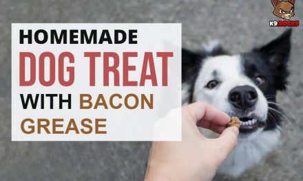 Homemade Dog Treat with Bacon Grease