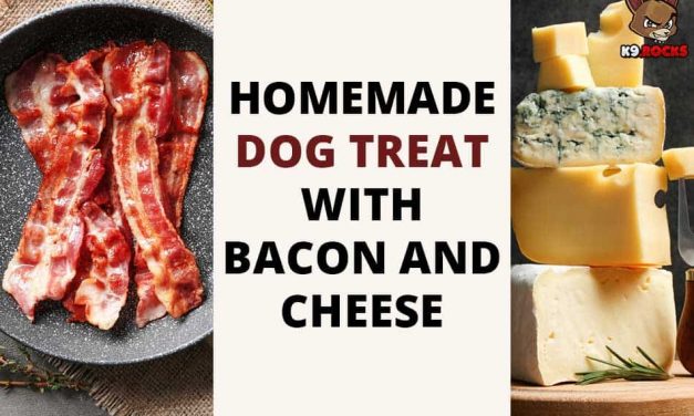 Homemade Dog Treat with Bacon and Cheese