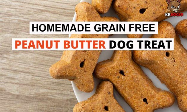 Homemade Grain Free Peanut Butter Dog Treat