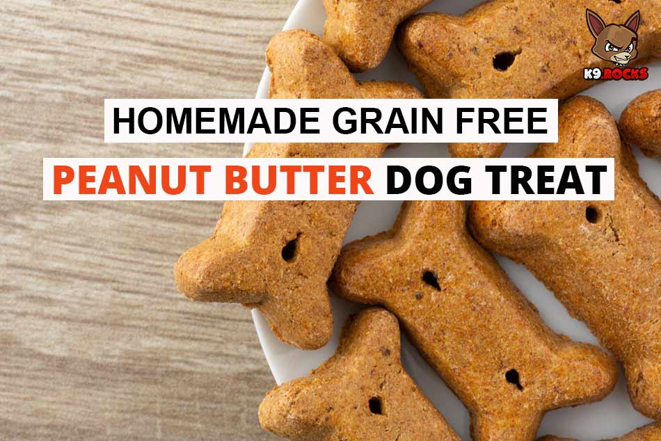 Homemade Grain Free Peanut Butter Dog Treat K9 Rocks