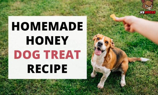 Homemade Honey Dog Treat Recipe