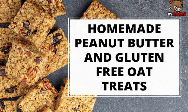 Homemade Peanut Butter and Gluten Free Oat Treats