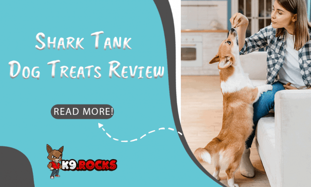 Shark Tank Dog Treats Review