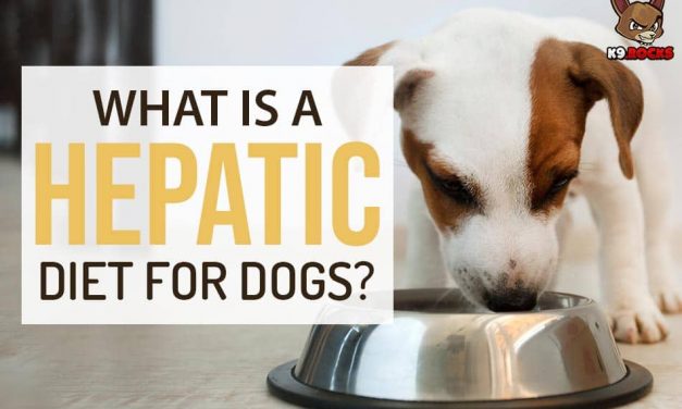 What Is a Hepatic Diet For Dogs?