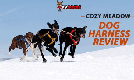 Cozy Meadow Dog Harness Review