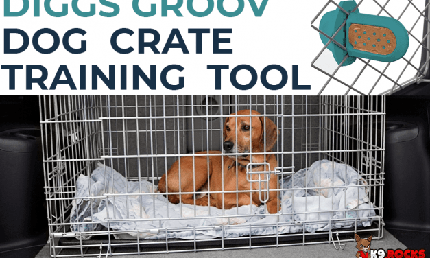 Diggs Groov Dog Crate Training Tool