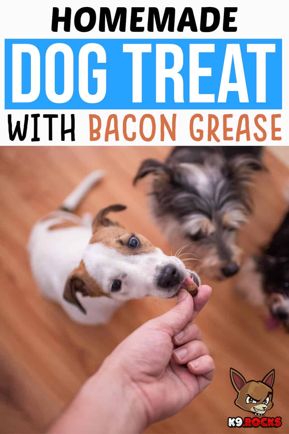Homemade Dog Treat with Bacon Grease K9 Rocks