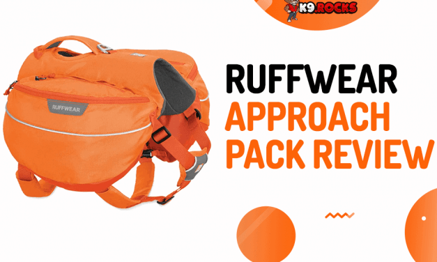 Ruffwear Approach Pack Review