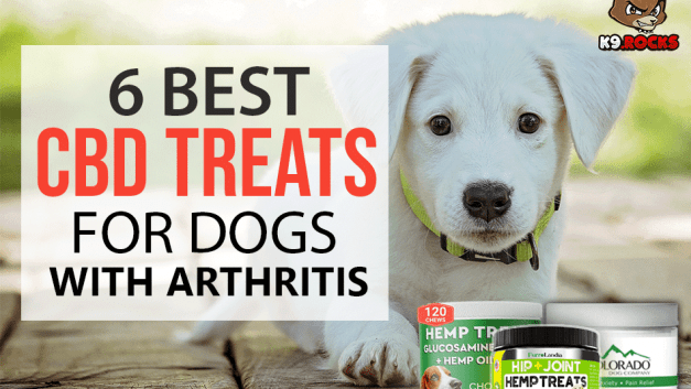 6 Best CBD Treats for Dogs With Arthritis