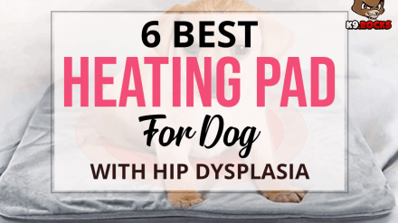 6 Best Heating Pad for Dog with Hip Dysplasia