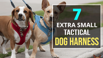 7 Extra Small Tactical Dog Harness