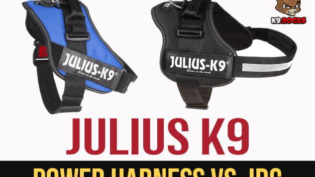 Julius K9 Power Harness vs. IDC