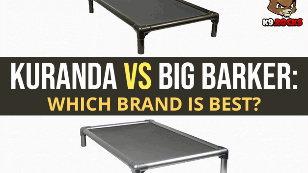 Kuranda vs Big Barker: Which Brand is Best?