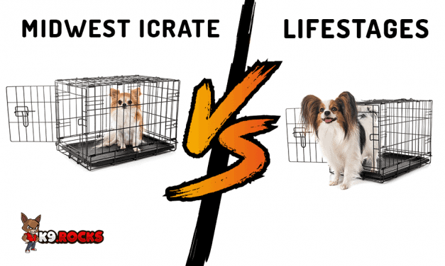Midwest iCrate vs Lifestages