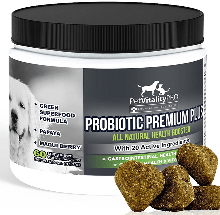 7 Best Probiotic for Yeast Infections In Dogs K9 Rocks