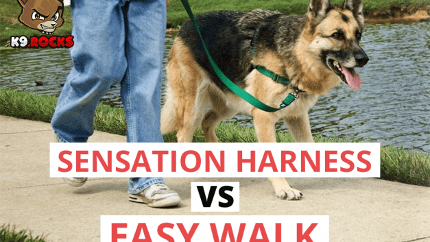 Sensation Harness Vs Easy Walk