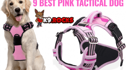 9 Best Pink Tactical Dog harness