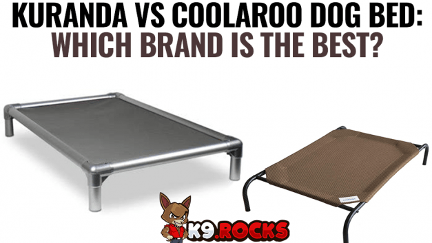 Kuranda vs Coolaroo Dog Bed: Which Brand Is The Best?