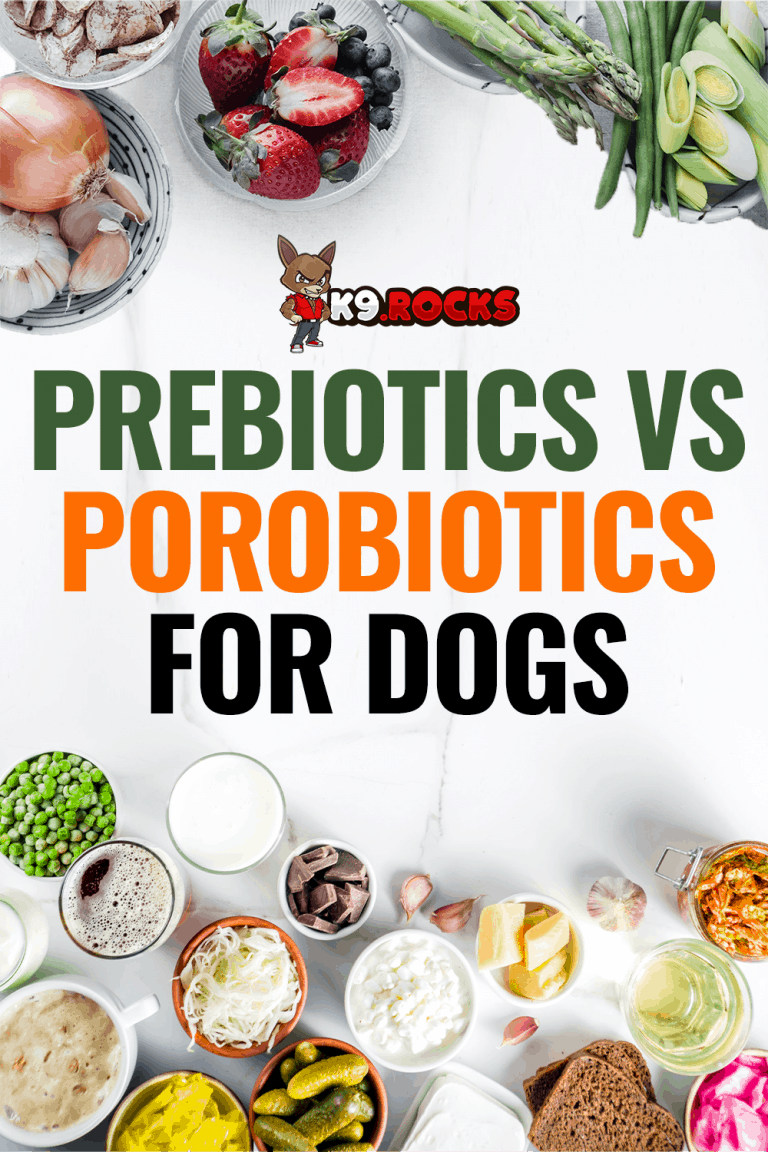 Canine Probiotics Vs Prebiotics photo
