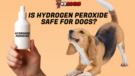 Is Hydrogen Peroxide Safe For Dogs?