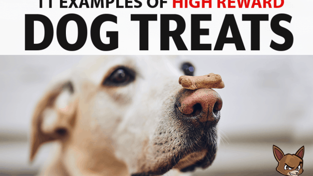 11 Examples of High Reward Dog Treats