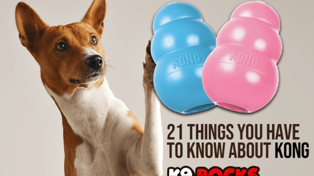 21 Things You HAVE to Know About Kong