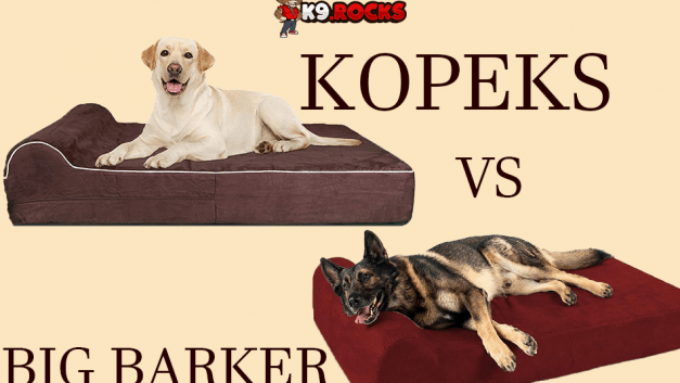 Big Barker vs Kopeks