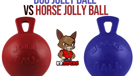 Dog Jolly Ball vs Horse Jolly Ball