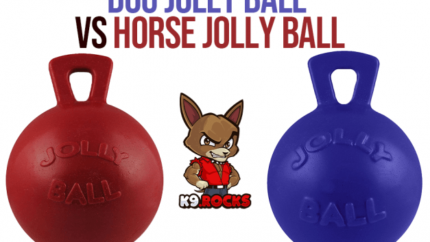 Dog Jolly Ball vs Horse Jolly Ball