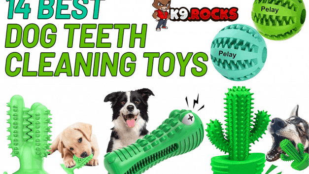 14 Best Dog Teeth Cleaning Toys