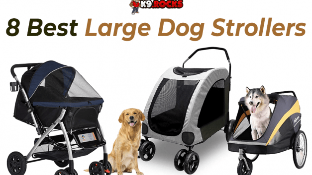 8 Best Large Dog Strollers