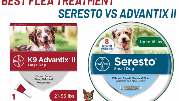 Best Flea Treatment: Seresto vs Advantix II