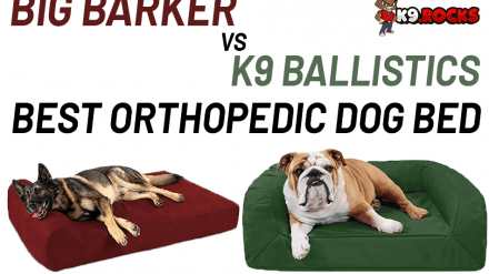 Big Barker vs K9 Ballistics: Best Orthopedic Dog Bed