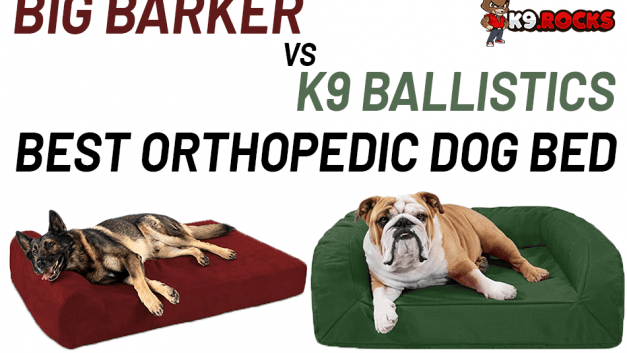 Big Barker vs K9 Ballistics: Best Orthopedic Dog Bed