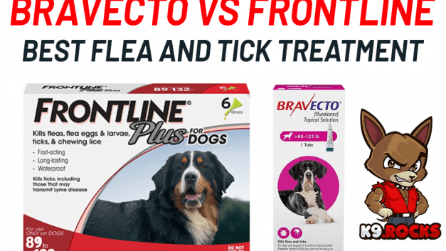 Bravecto vs Frontline: Best Flea and Tick Treatment